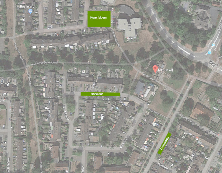 Parkeermogelijkheden in de buurt